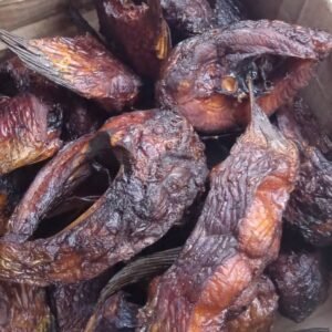 Mangala Fish
