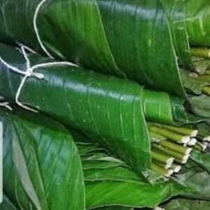 Moimoi Leaves