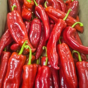 Sheppard Pepper (Tatase)