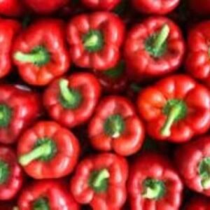 Bell Pepper