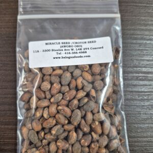 Miracle Seed (Croton Seed)