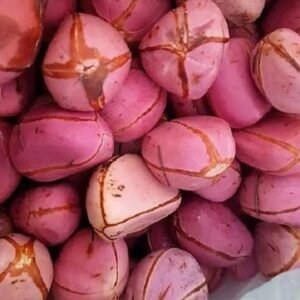Kolanut - Obi Abata