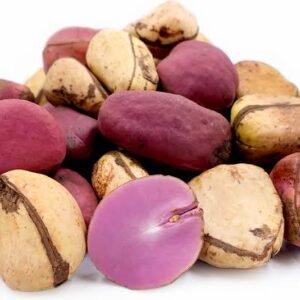 Kolanut - Goro (2 lobes)